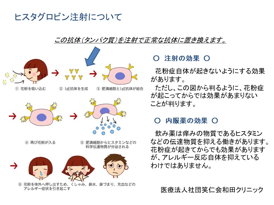 ヒスタグロビン注射について